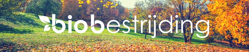 voortuin inspiratie